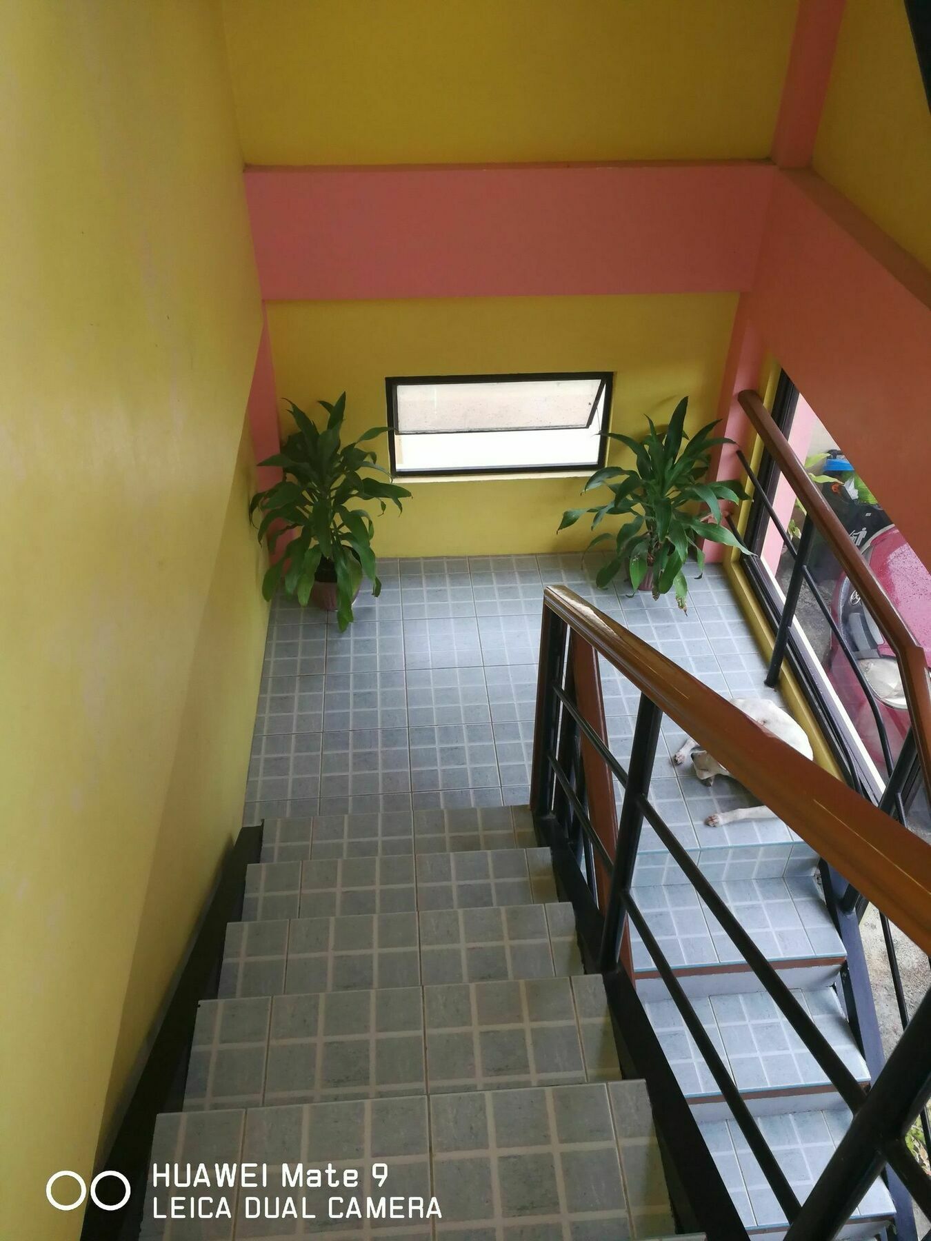 A'S Azotea De Bohol - Back-Packers Room 3 ตักบีลารัน ซิตี ภายนอก รูปภาพ